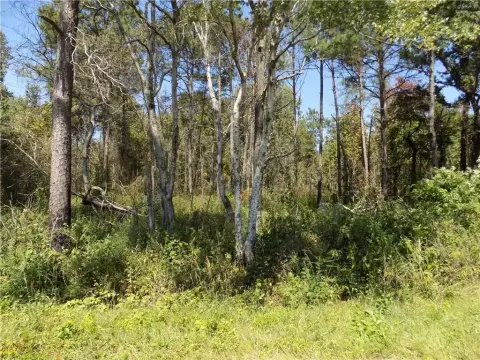 16 Acres Near Auburn University