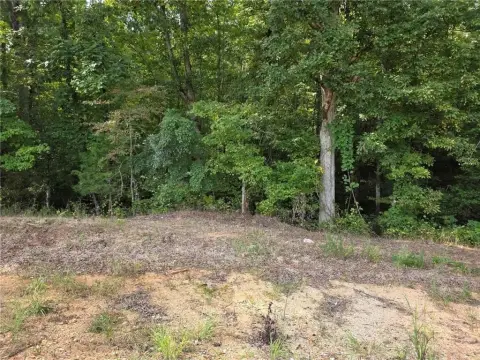 Residential Land in Salem, AL