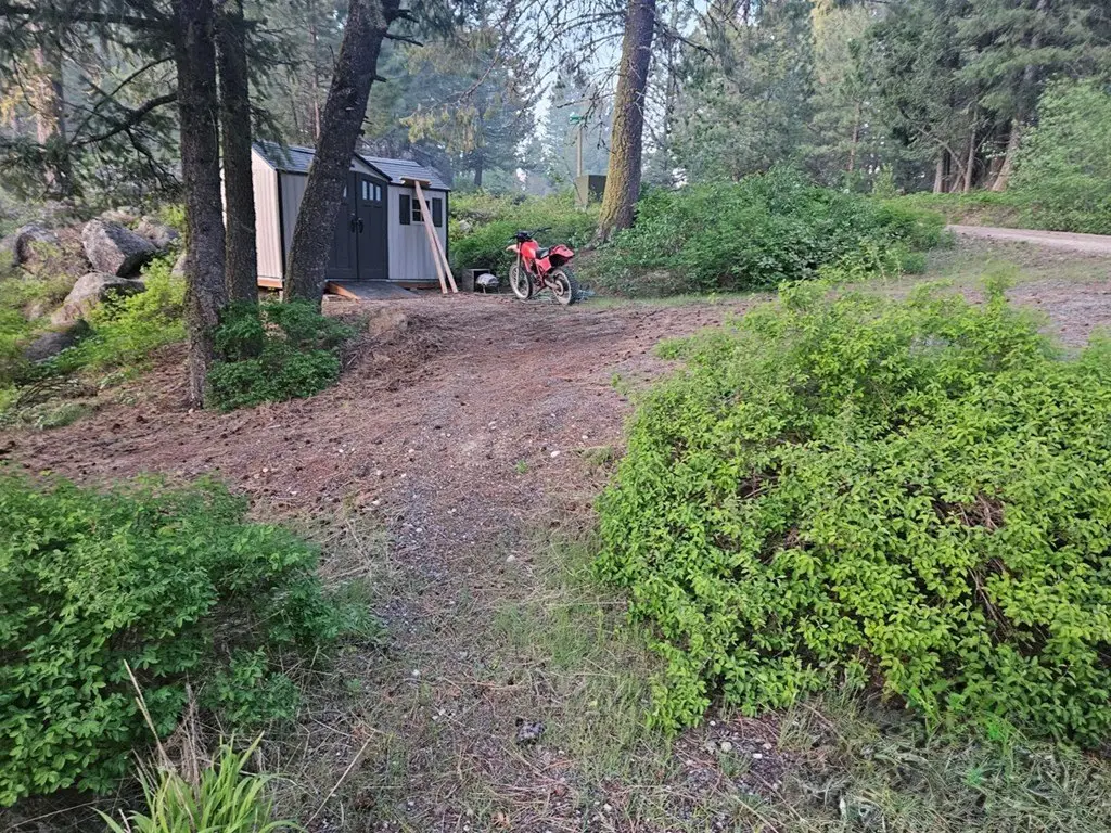 Picture 8