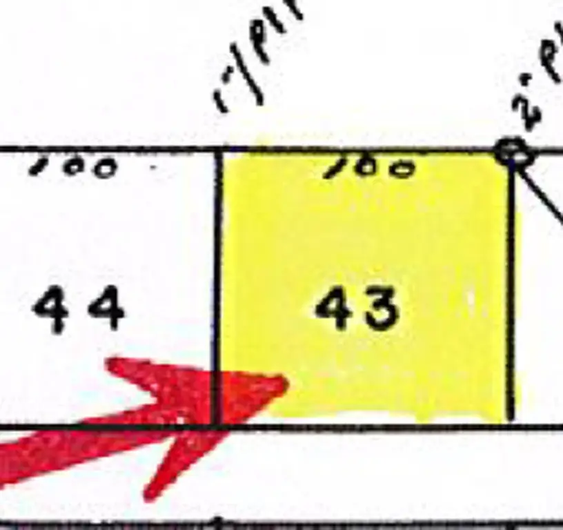 Picture 20