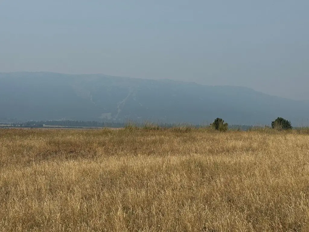 Picture 9