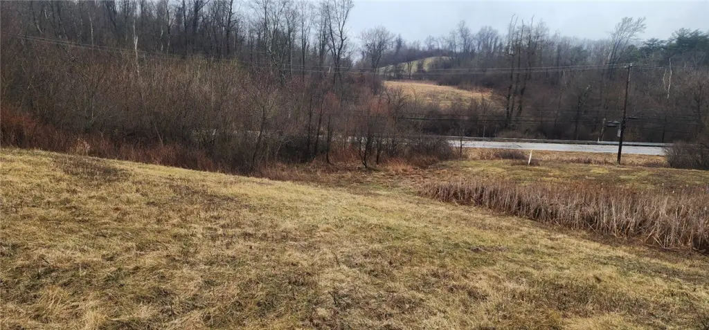 Picture 23