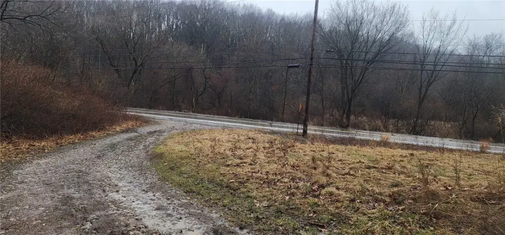 Picture 15