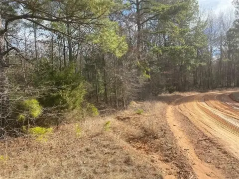 Marietta, TX Unimproved Land