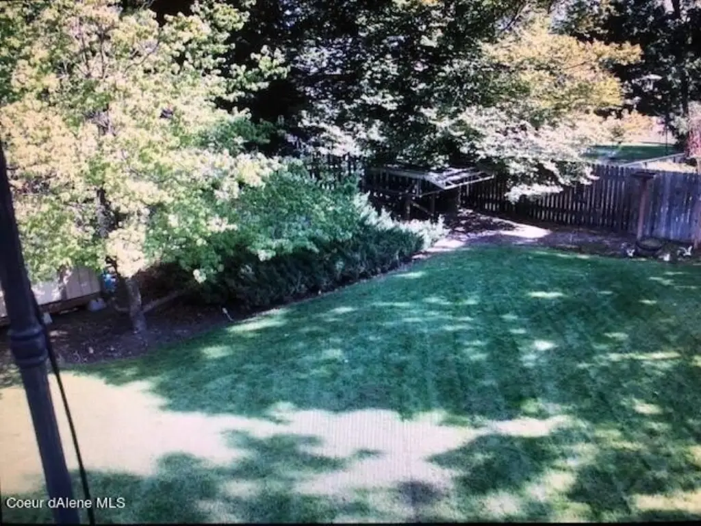 Picture 16
