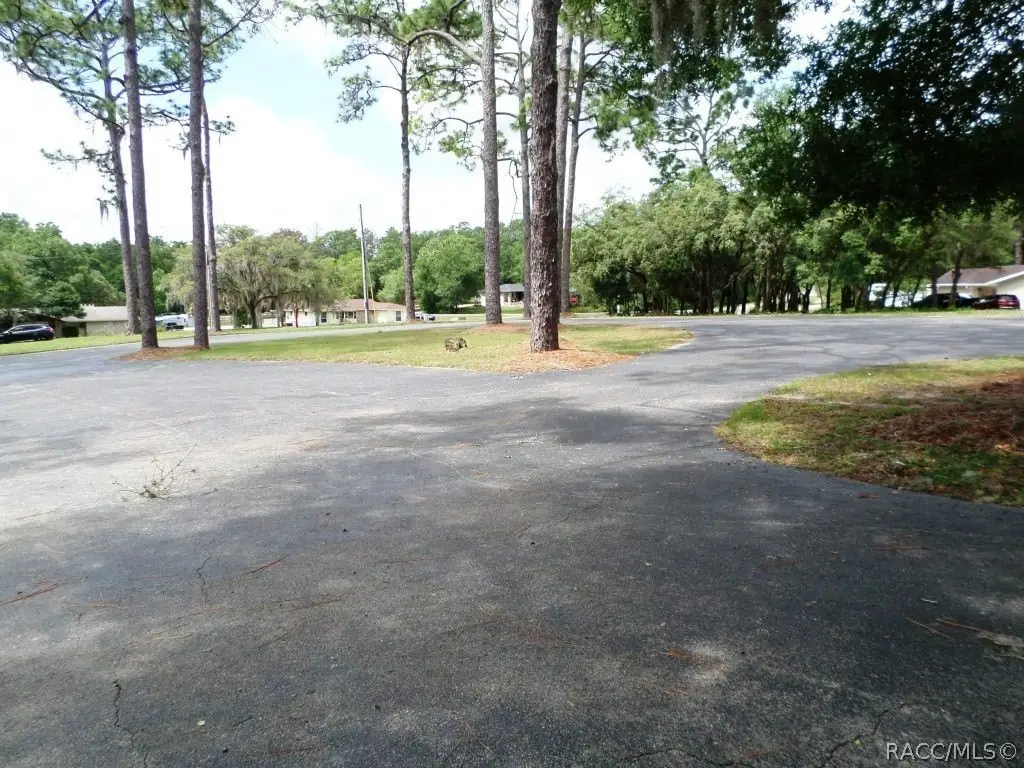 Picture 8