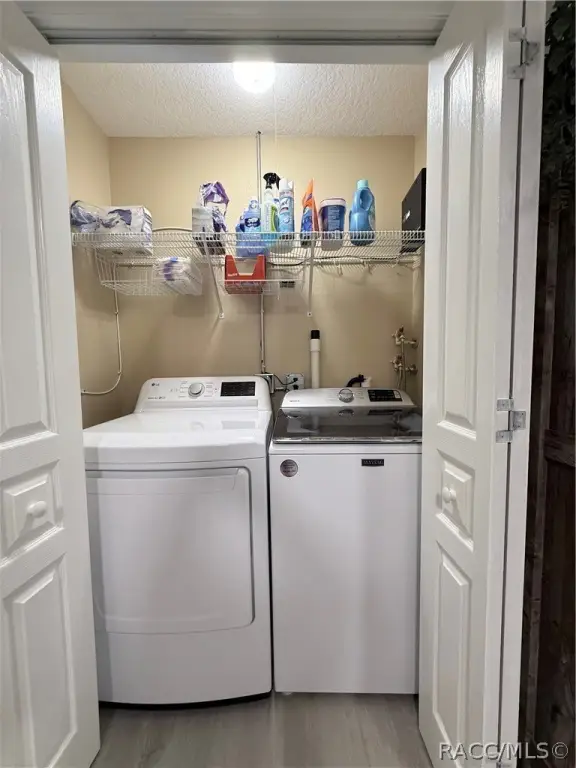 Picture 24