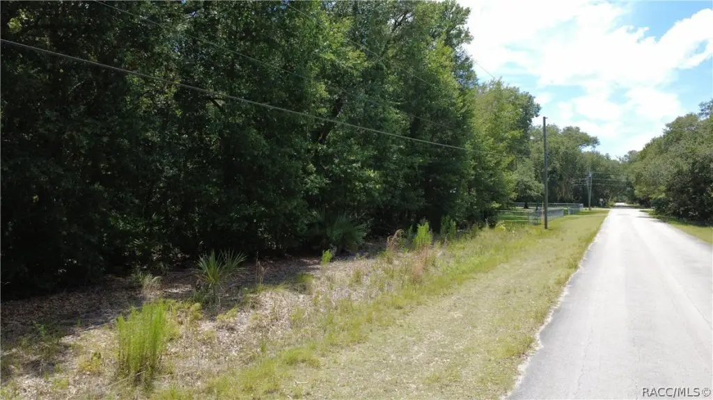 Picture 2