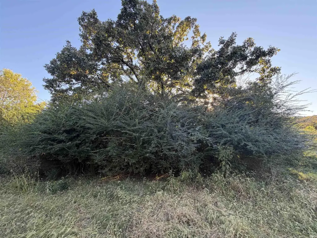 Picture 21