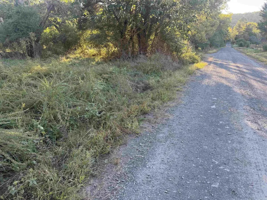 Picture 48