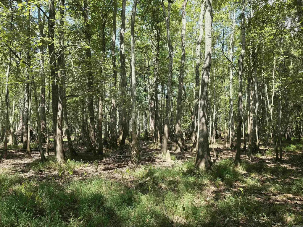 Picture 37