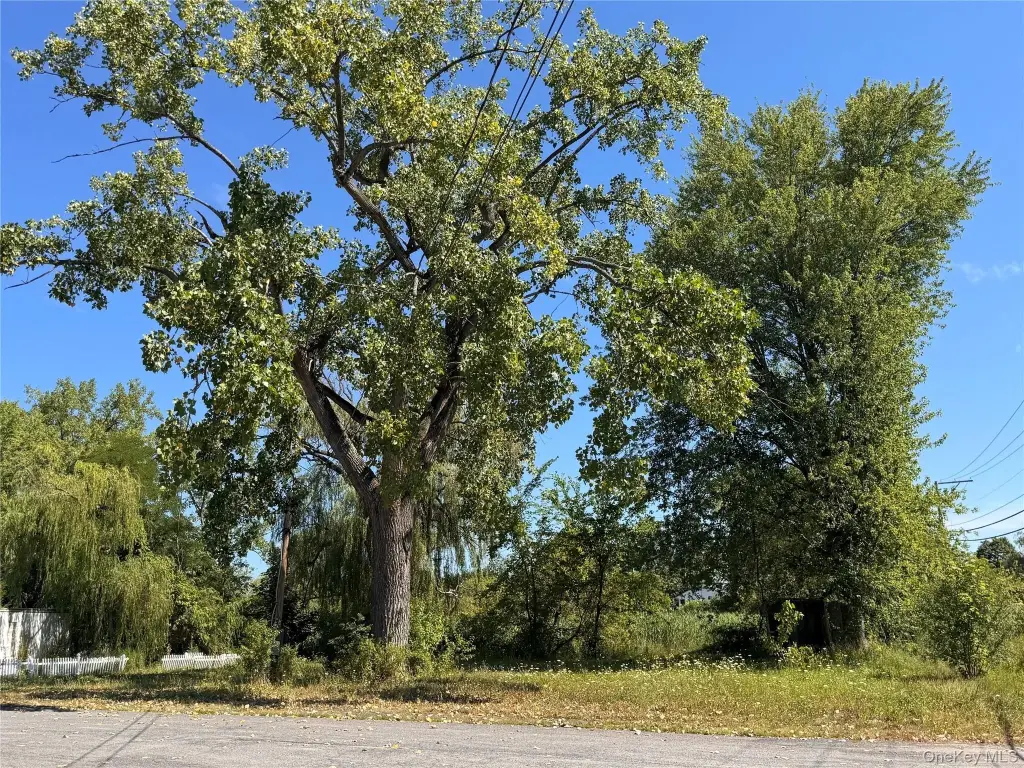 Picture 19