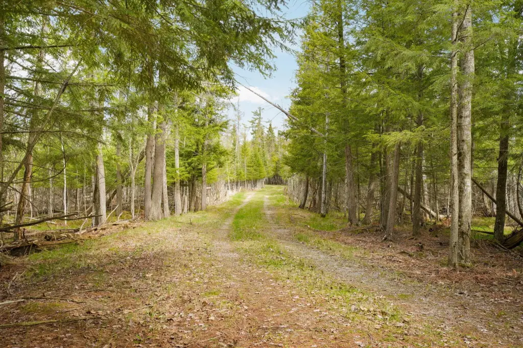 Picture 21