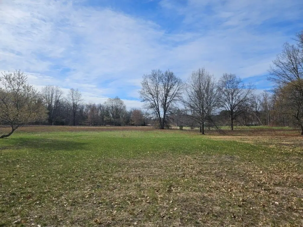 Picture 3