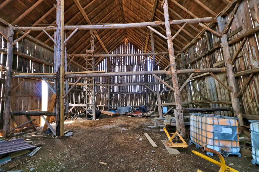 Picture 9