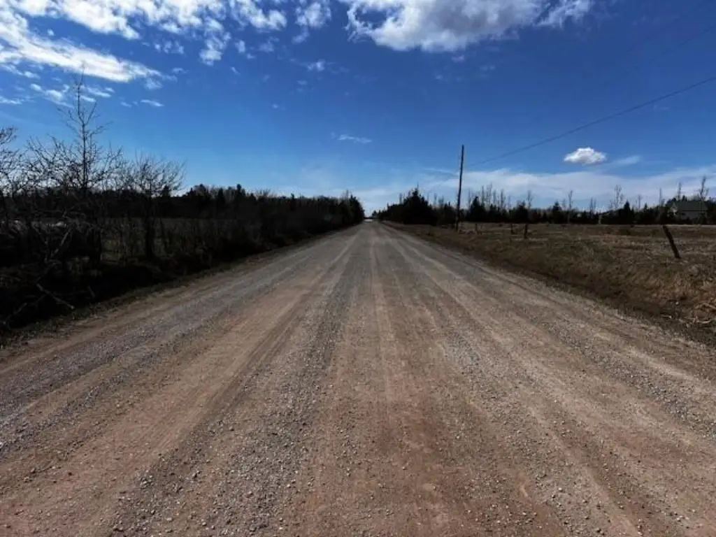 Picture 23