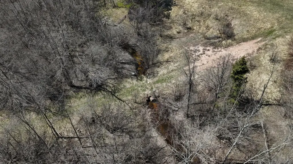 Picture 6