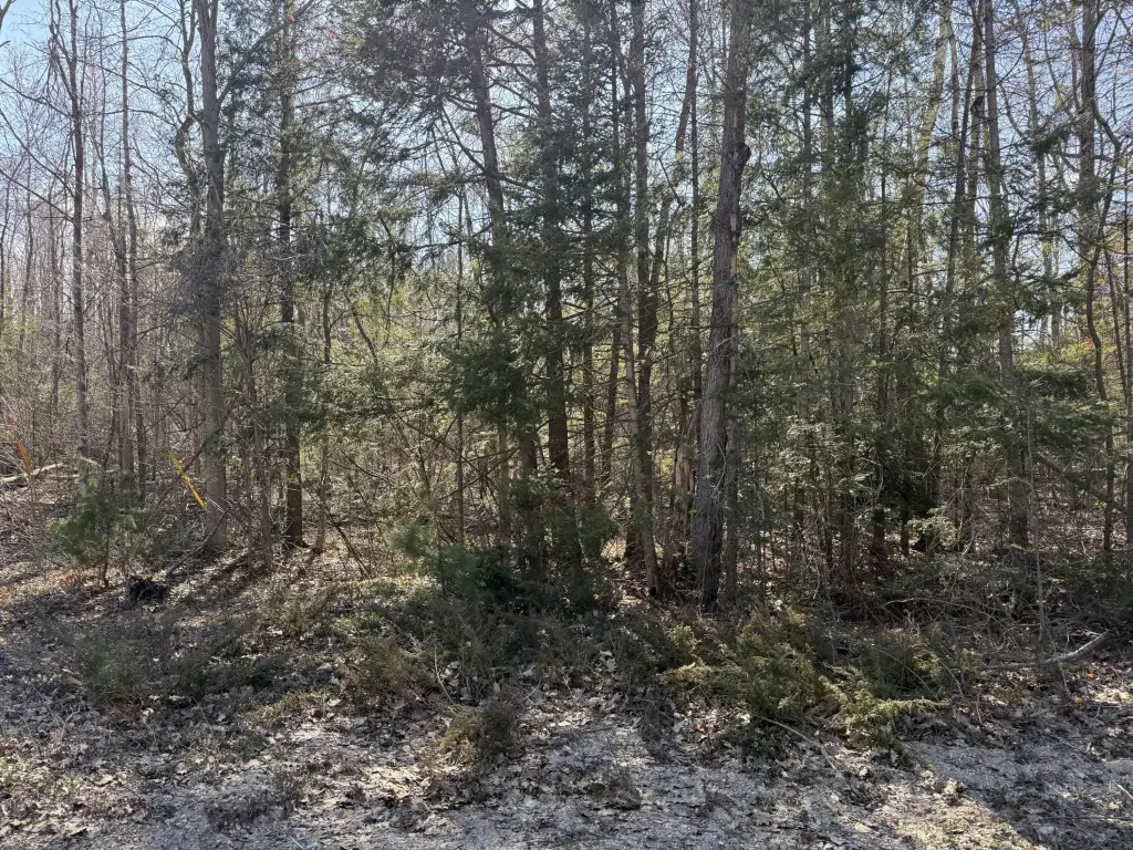 Picture 4