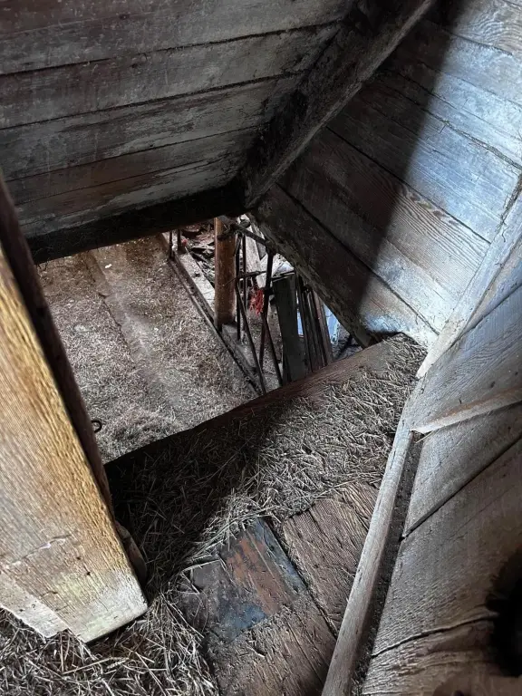 Picture 25