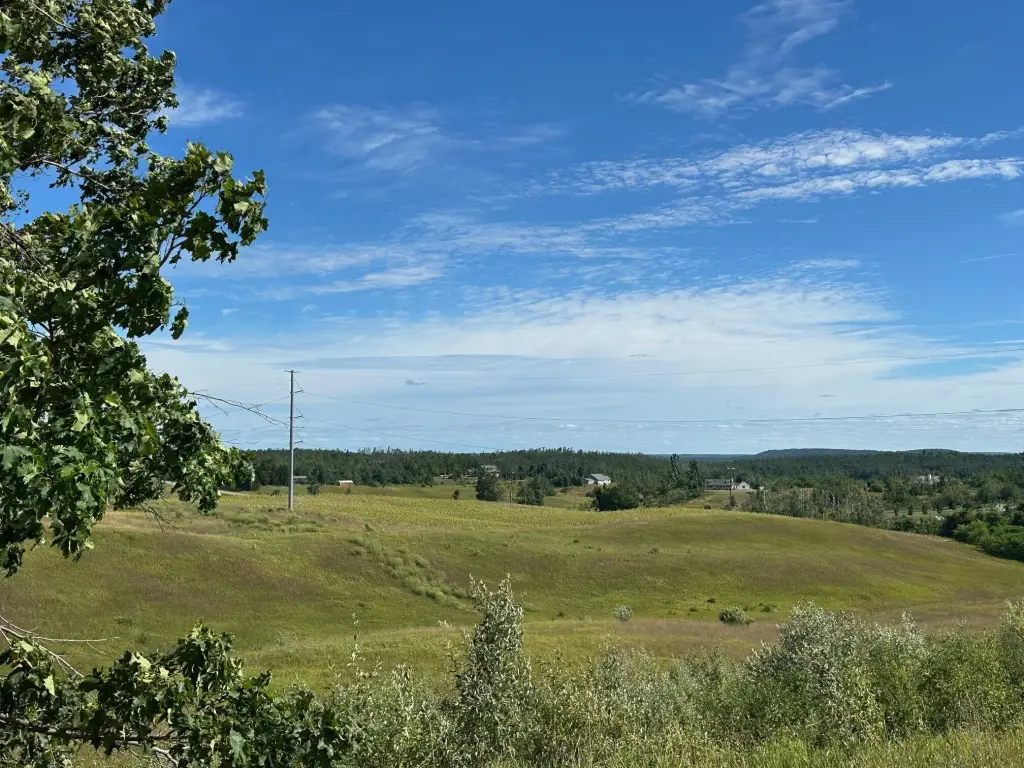 Picture 29