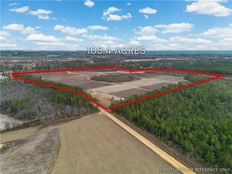 Income-Producing Blueberry Farm Opportunity