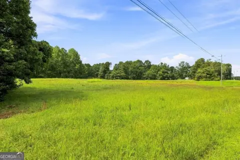 Partially Cleared Land