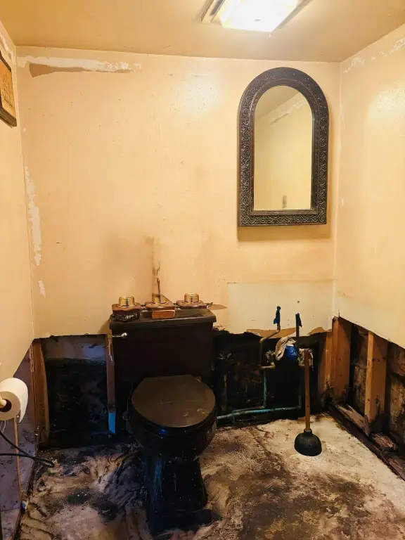 Picture 24
