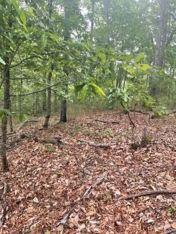 Picture 11