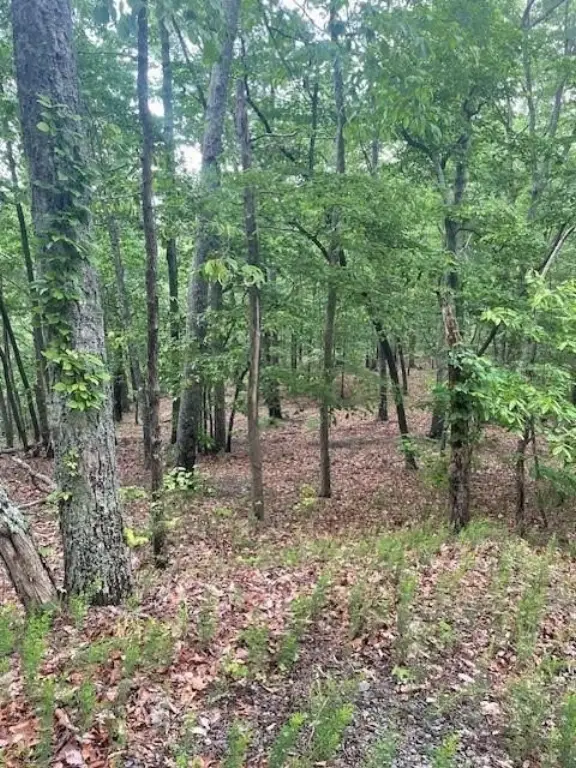 Picture 16