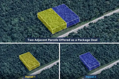 Two Lots in Citrus Springs