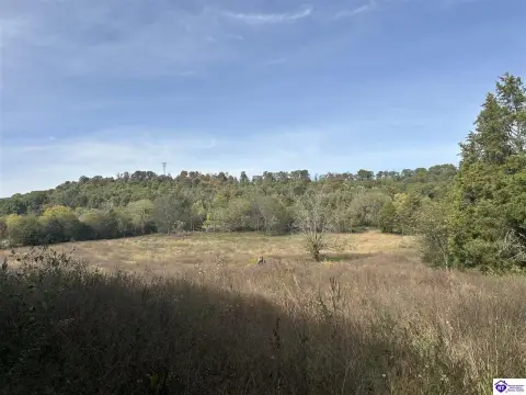 40 Acres of Kentucky Timberland