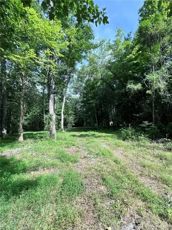 Picture 10