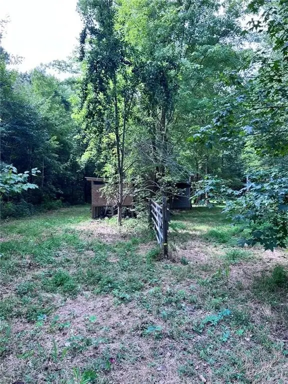 Picture 11