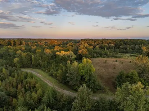 206-Acre Timber and Recreation Retreat