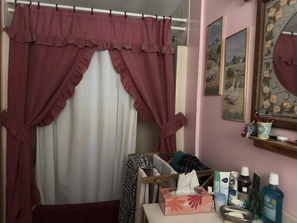 Picture 11