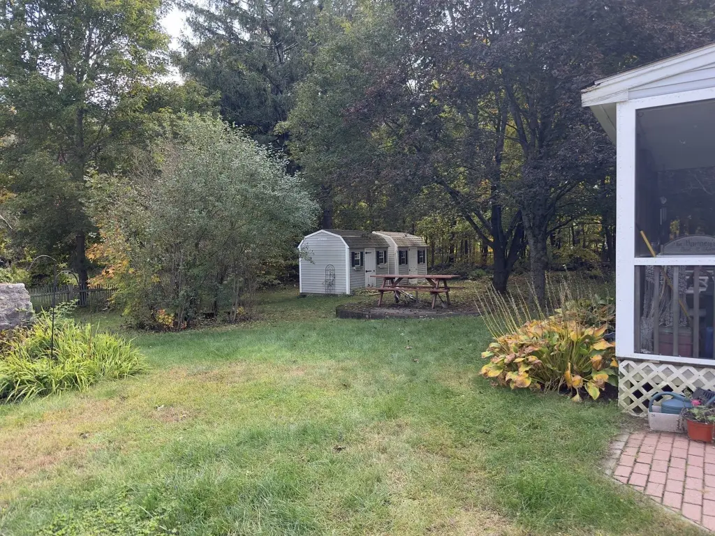 Picture 41