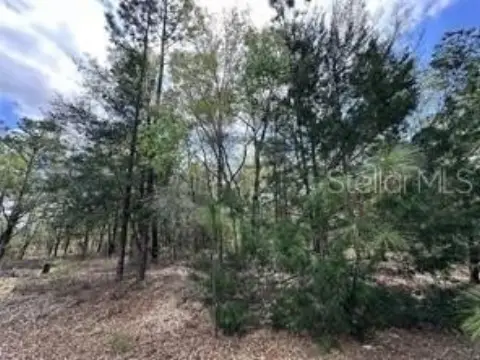 Residential Lot in Williston Highlands