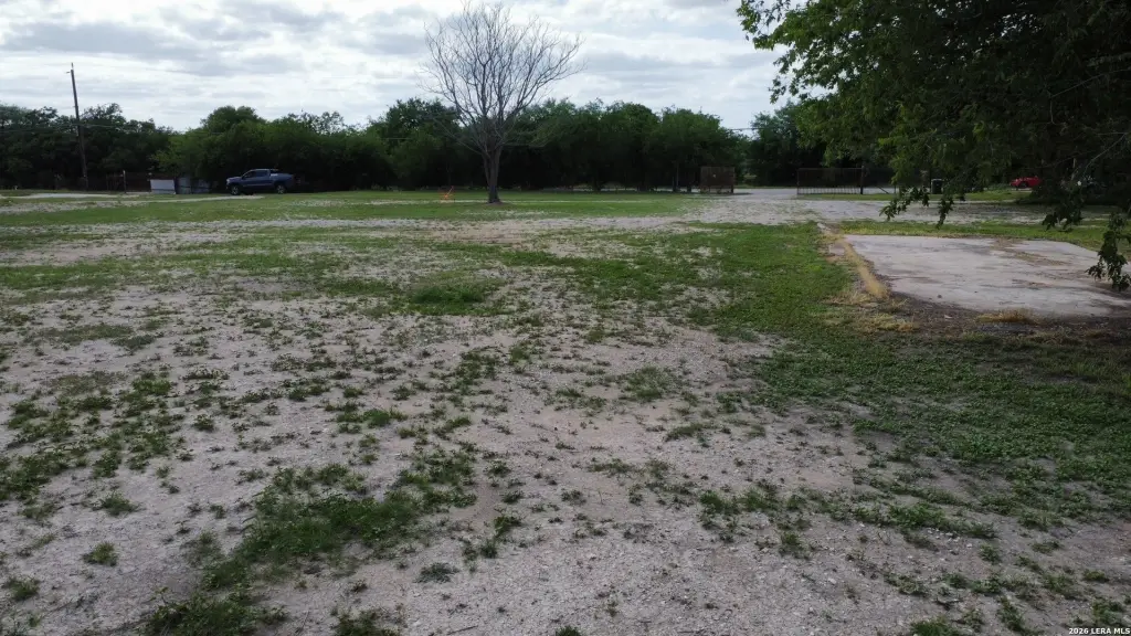 Picture 3