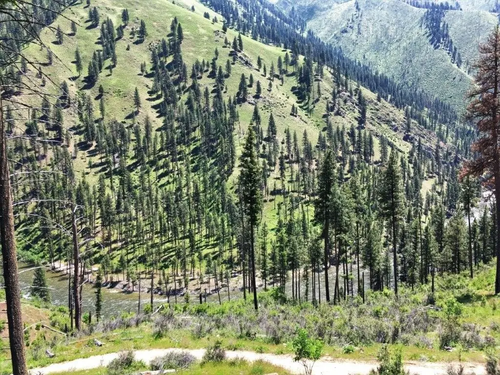 Picture 6