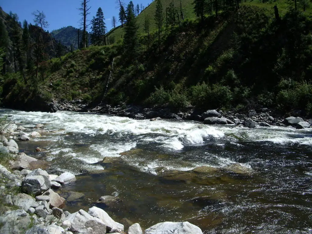 Picture 19
