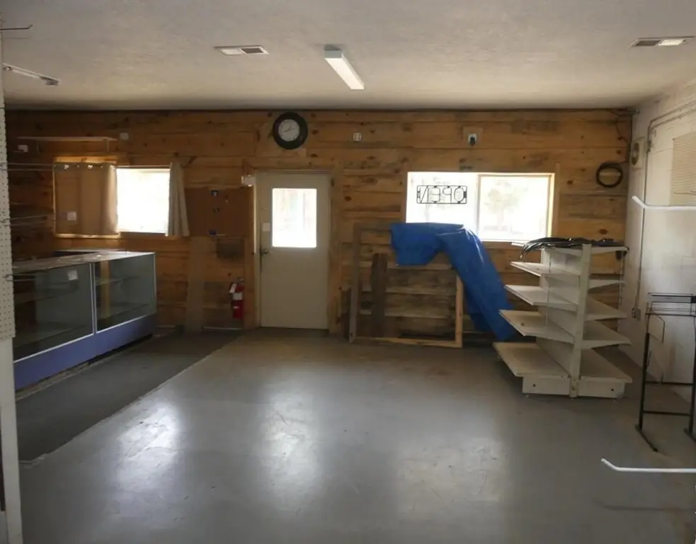 Picture 5
