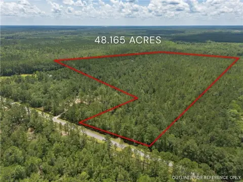 Wooded Land Parcel Near Jesup