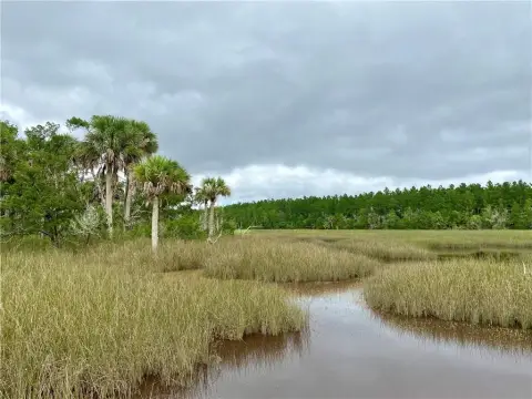 Waterfront Land in Brunswick, Georgia