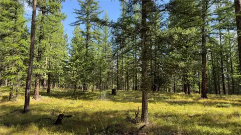 Wooded Lot in Crystal Lakes