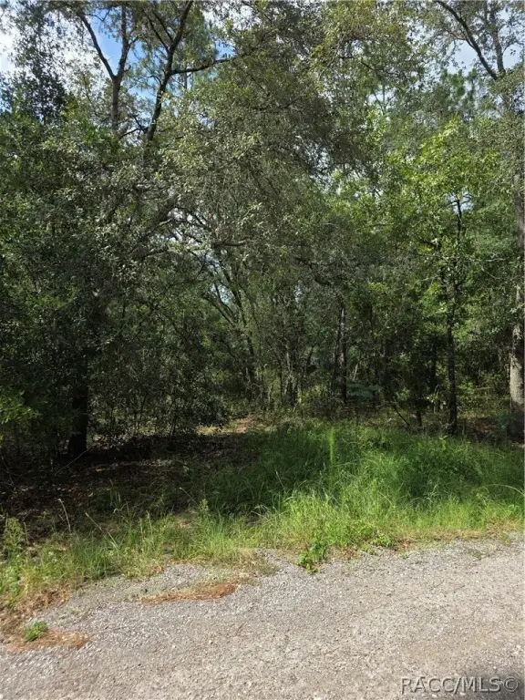 Picture 5