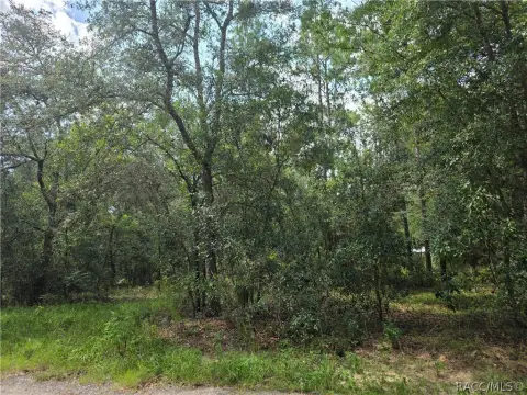 Residential Buildable Homesite