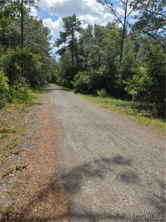 Picture 4