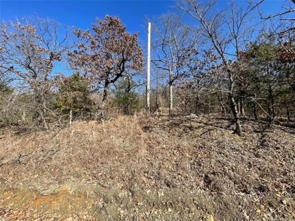 Picture 16