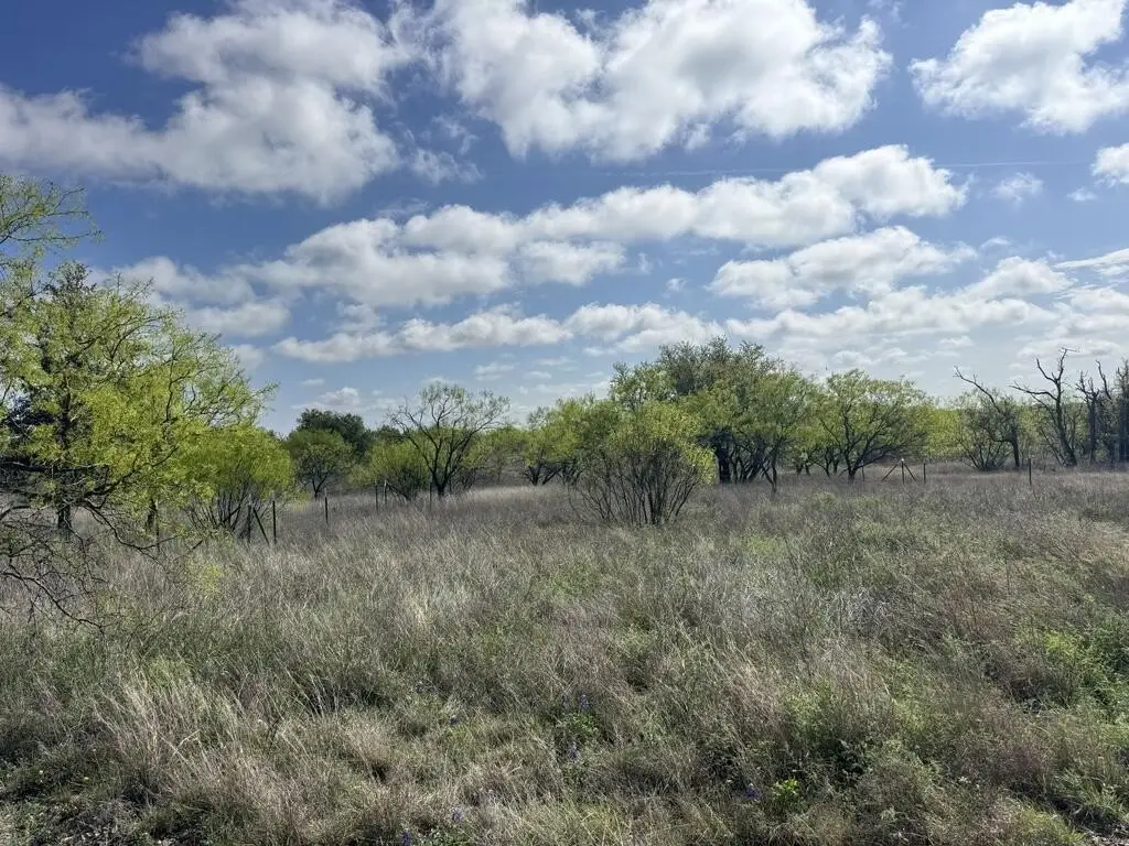 Picture 33