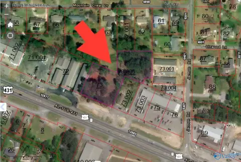 Guntersville Commercial Property on Highway